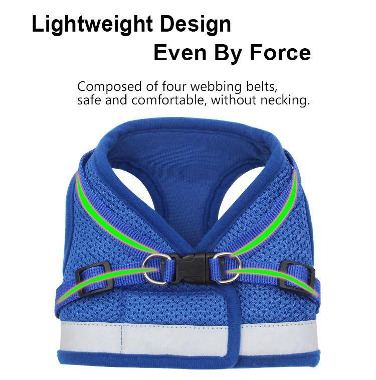 Hot Selling Factory Wholesale Custom Logo PVC Dog Collar and Leash Harness Sets