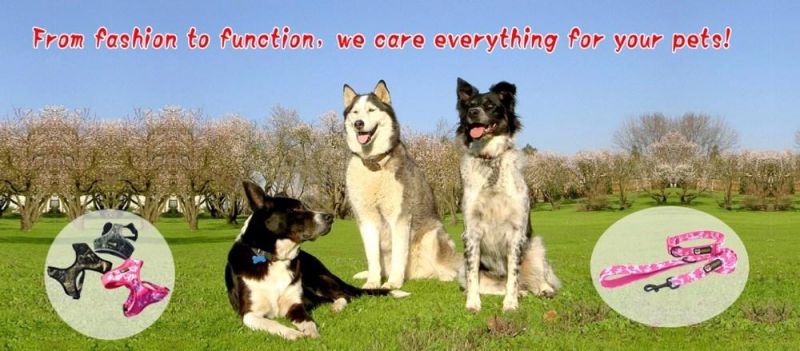 Fashion Sublimation Printed Soft Padding Pet Leash for Small, Medium, Large Dogs