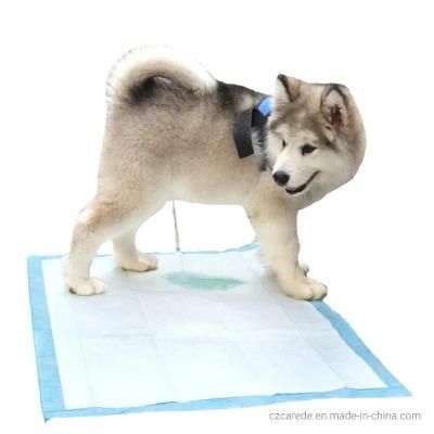 China Manufacturer Absorbent Disposable Underpad Pet Training Pad
