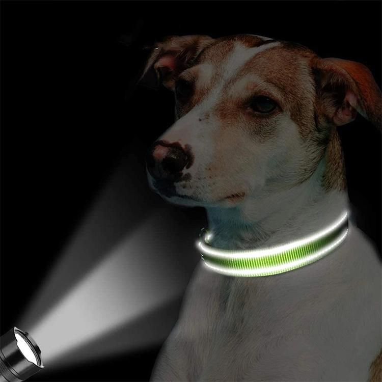 Polychrome Nylon Dog Collar No Neck Pet Collar