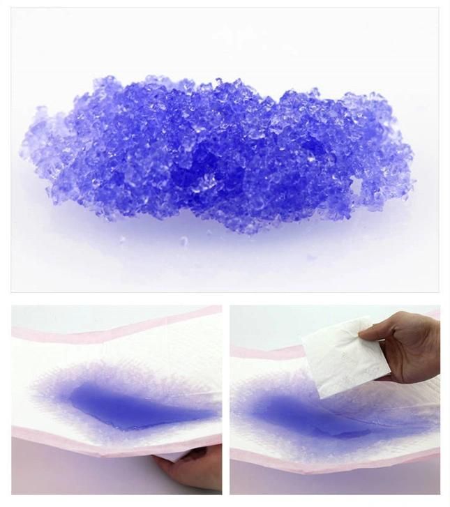 Factory Sale Various Durable Dog PEE Pads Disposable Absorbent