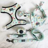 2021 Custom Logo Customized Pattern Pet Products Adjustable Soft Mesh Padded Reversible Dog Harness Set/Dog Harness