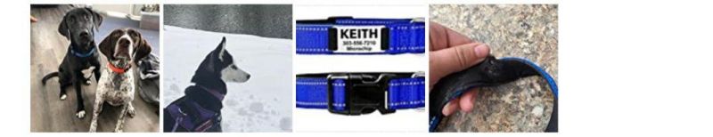Soft Neoprene Padded Adjustable Dog Collar with Safety Locking Buckle