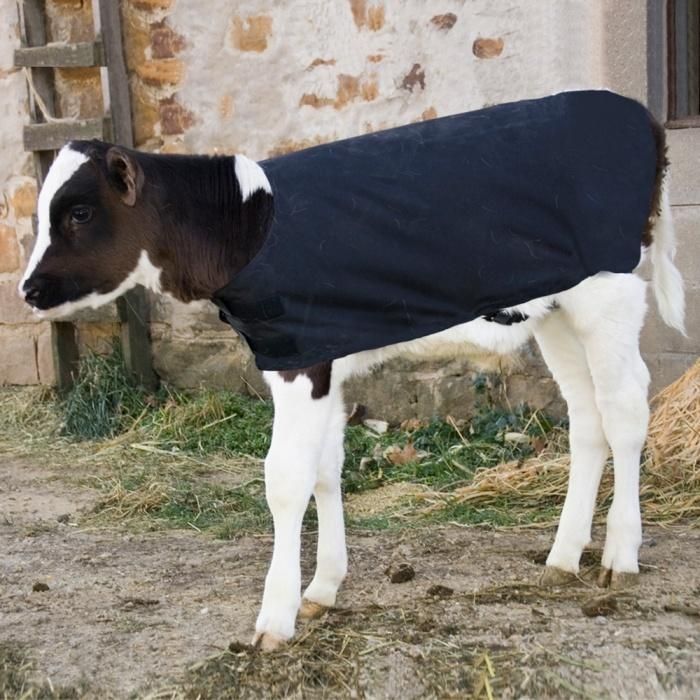 Insulated Calf Coat Calf Cover