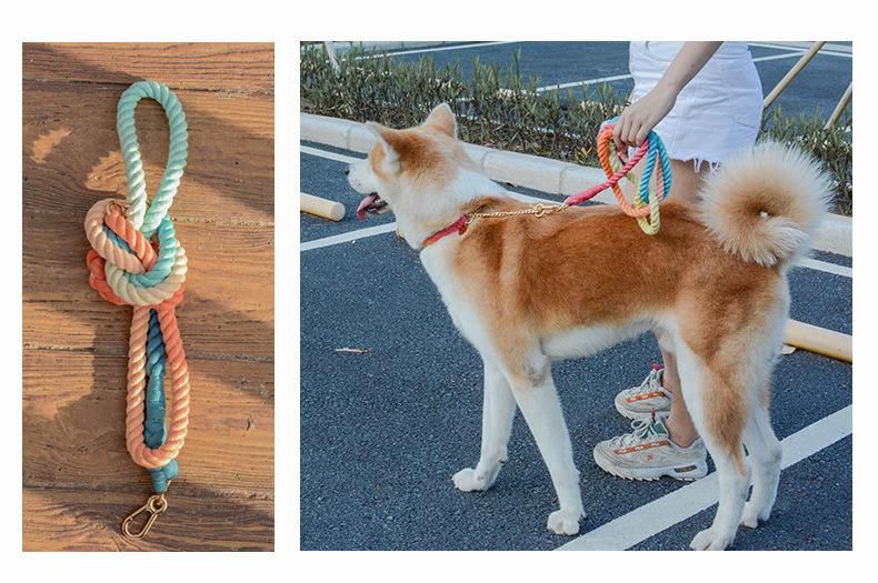 New Comfortable Placa PARA Collar Mascota Braided Gradient Luxury Dog Collar