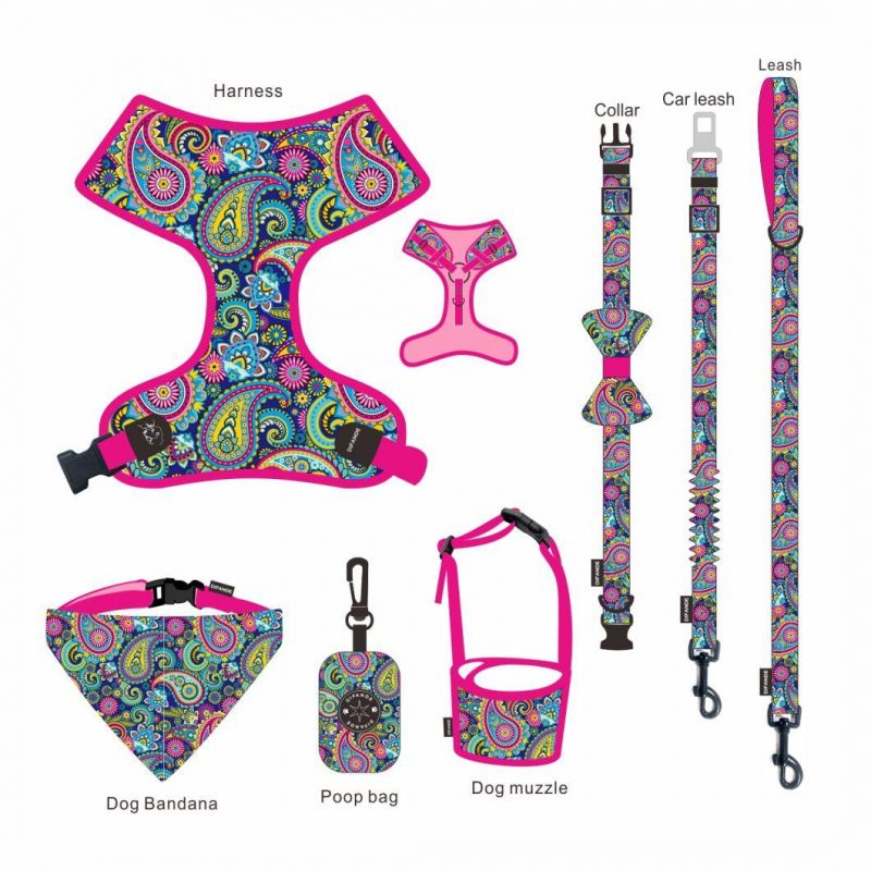OEM Accept Adjustable Adjustable Reversible Designer Soft Collar Leash Dog Pet Harness Set
