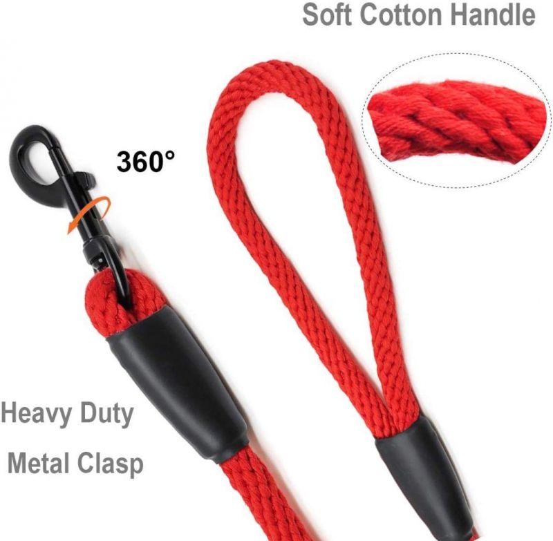 Fashion Colors with Bright Individuality Rope Dog Leash