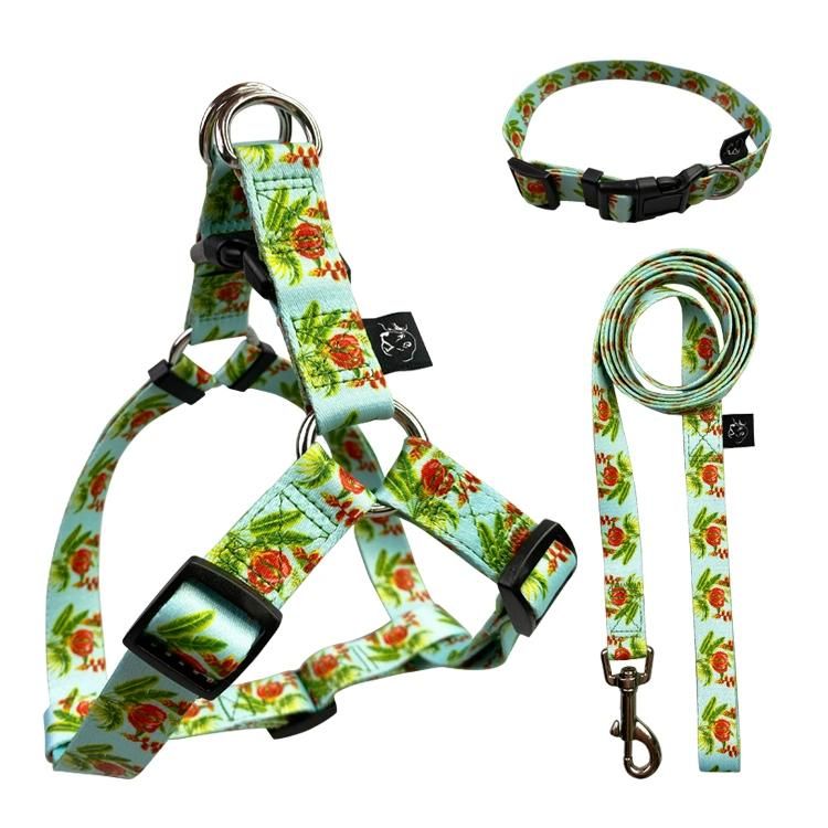 No Pull Reflective Pet Dog Harness Adjustable Dog Outside Walking Slip Lead Harness and Leash Set