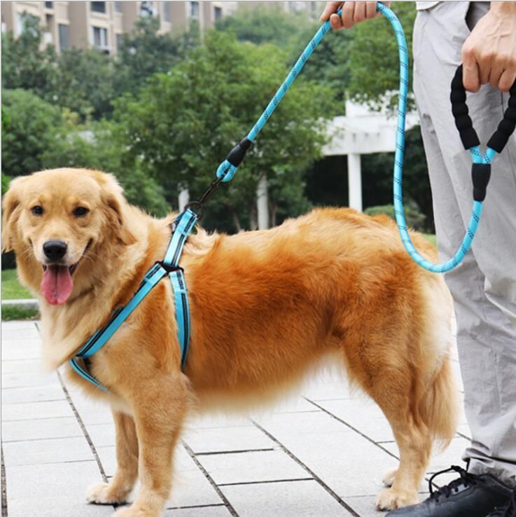 Strong and Durable Dog Pet Leashes Padded Handles for Dog Training Walking