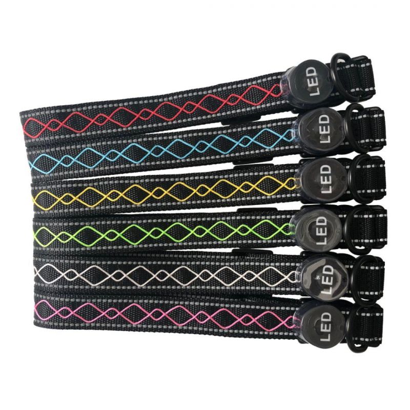 2021 Hot Sales Safety LED Dog Collar and Leash LED Dog Collar