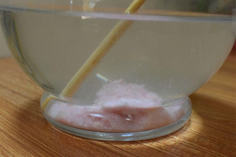 Fast Clump Tofu Cat Litter with Peach Scent (YYLD03)