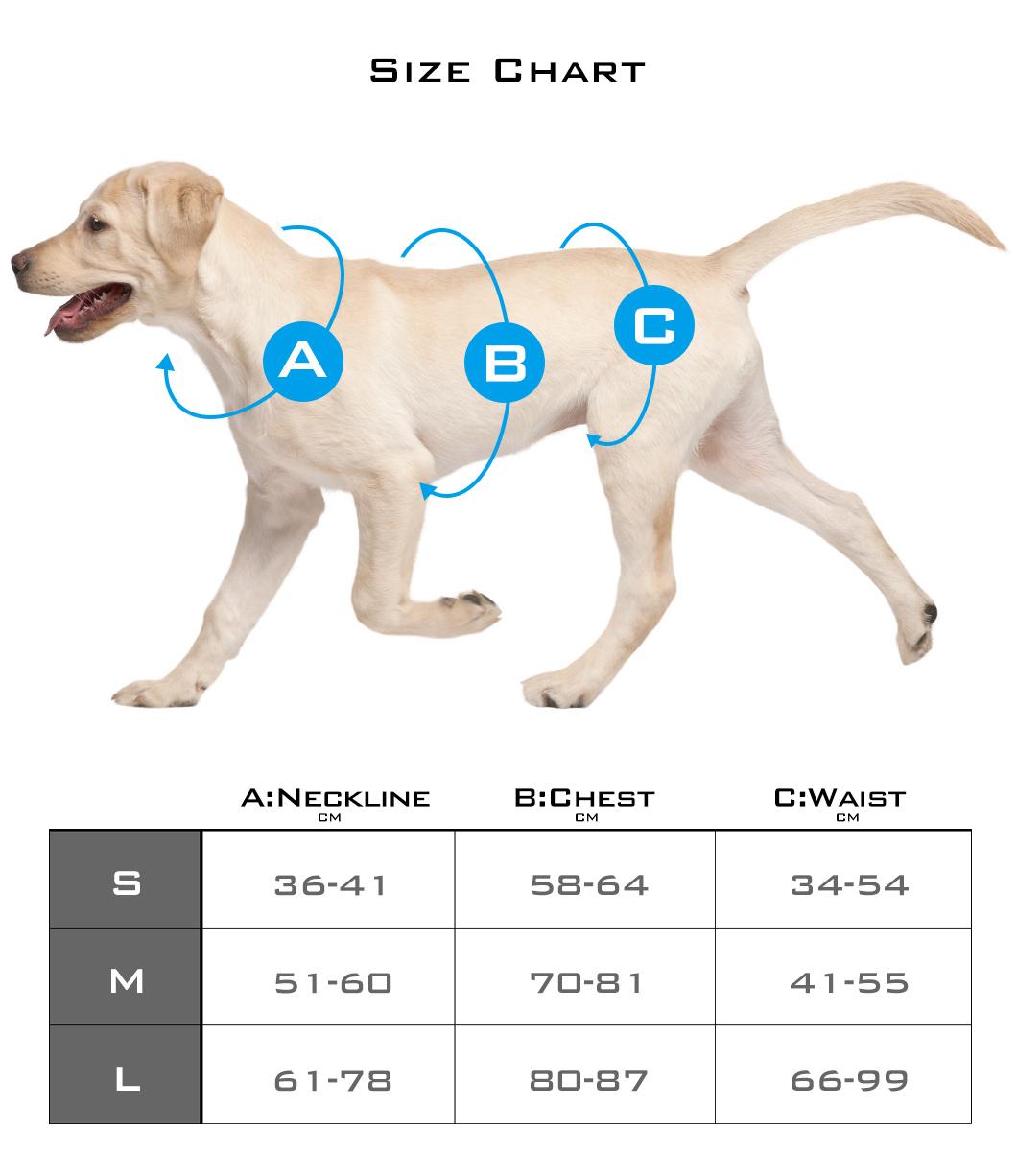 Visiable Training Outdoor Adjustable Dog Products