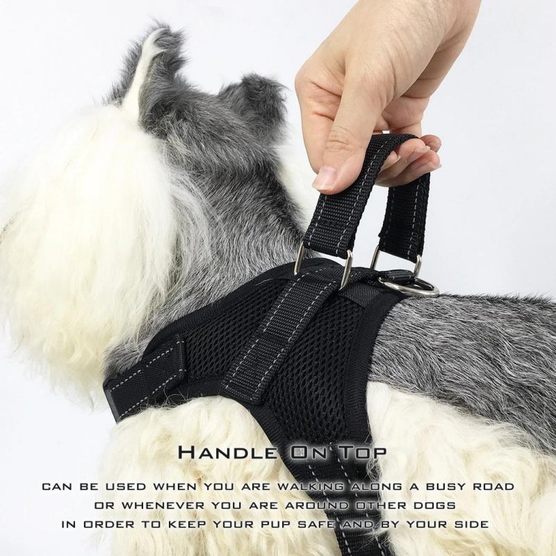 Wholesale No Pull Reflective Breathable Adjustable Dog Harness Pet Supply