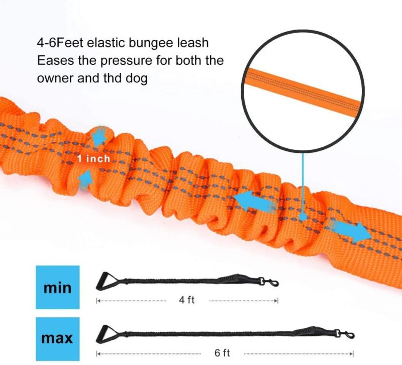 Reflective Bungee Dog Leash with Comfort Padded Handles