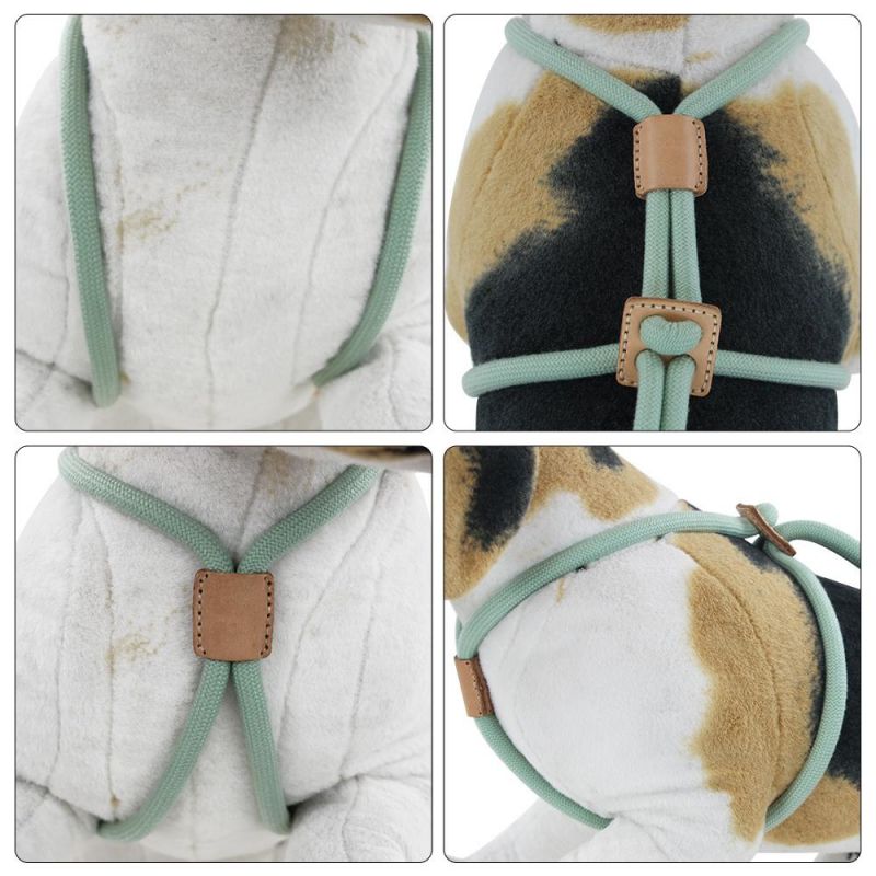 Hot Sale Creative Design Manufacture Durable No Pull Nylon Rope Slip Lead Dog Leash Luxury Climbing Dog Rope Leash
