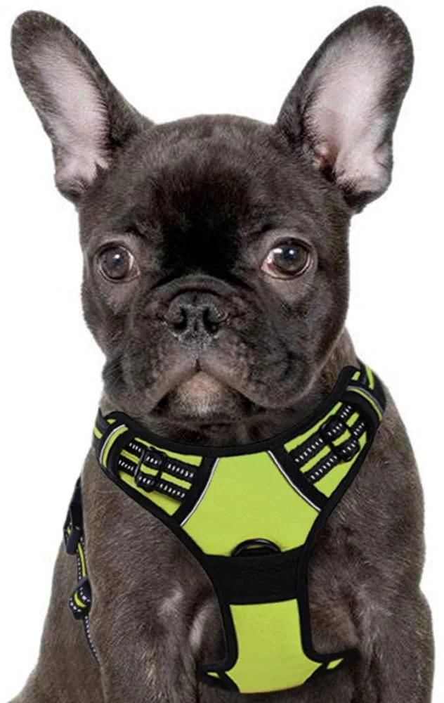 Easy Control Front Clip Dog Harness for Large Dog