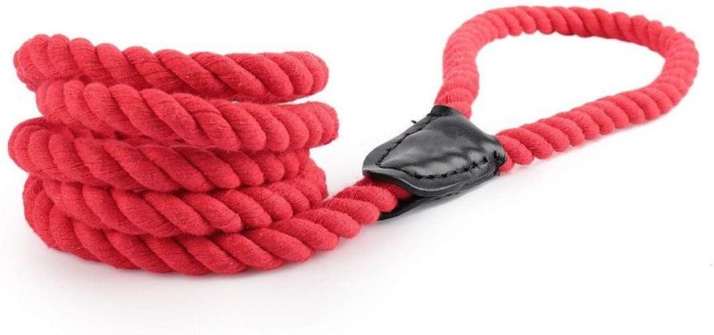 Cotton Rope Dog Collar and Leash