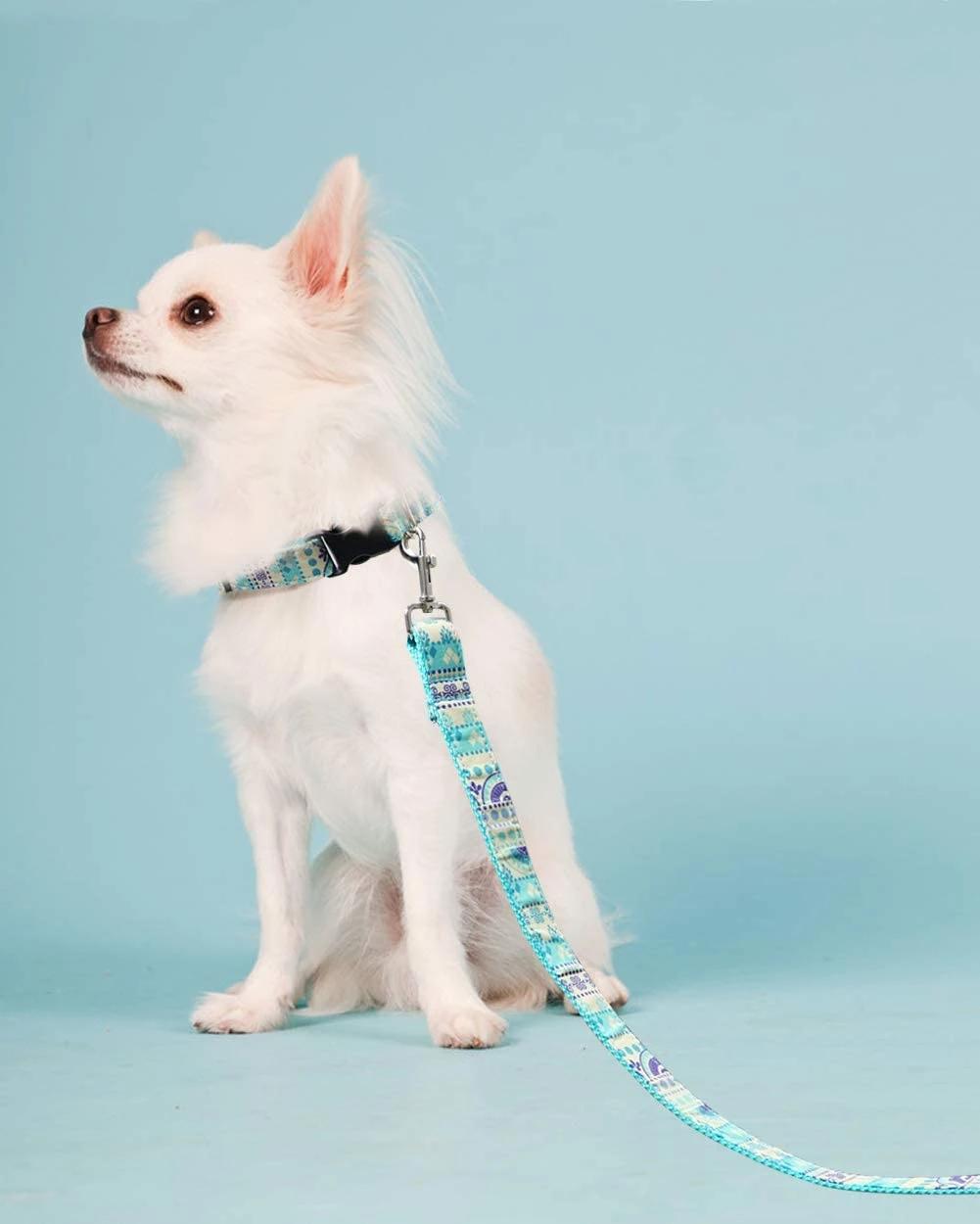 Sturdy Pattern Dog Leash Support Customer Design Dog Leash
