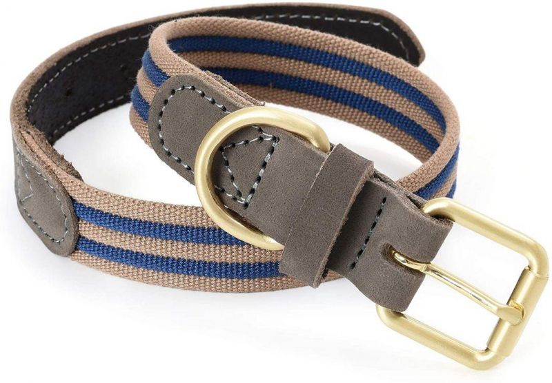 Genuine Leather and Durable Canvas Combines Dog Collar
