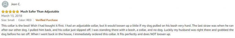 Reflective Metal Buckle Dog Collar Double Layers Martingale Collar