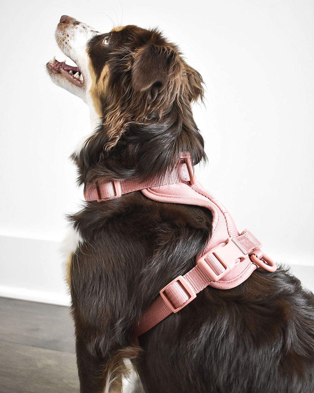 Easy on and off Super Comfort Neoprene Dog Harness