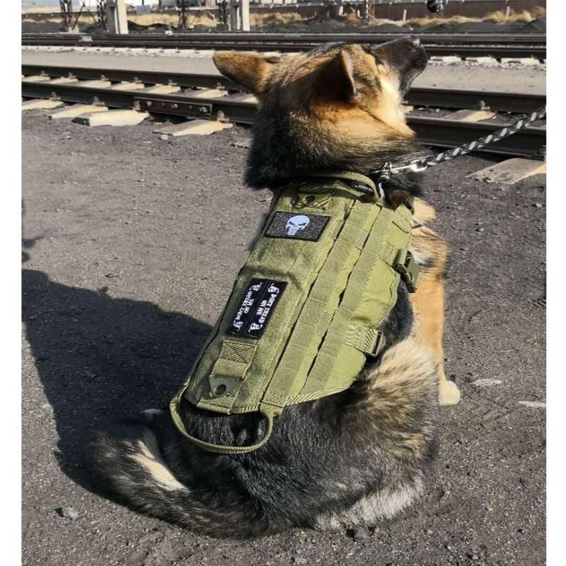 Outdoor Walking Training Pet Safety Vest and Durable Military Training with Traction Police Dog Leash and Collar