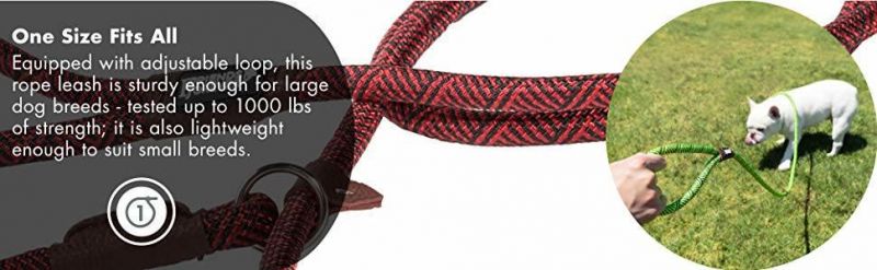Extremely Durable Dog Slip Rope Leash Dog Leash