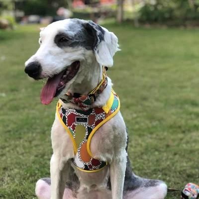 OEM Luxury Dog Harness and Leash Set Sublimation Dog Muzzle Custom Pattern Pet Supplies