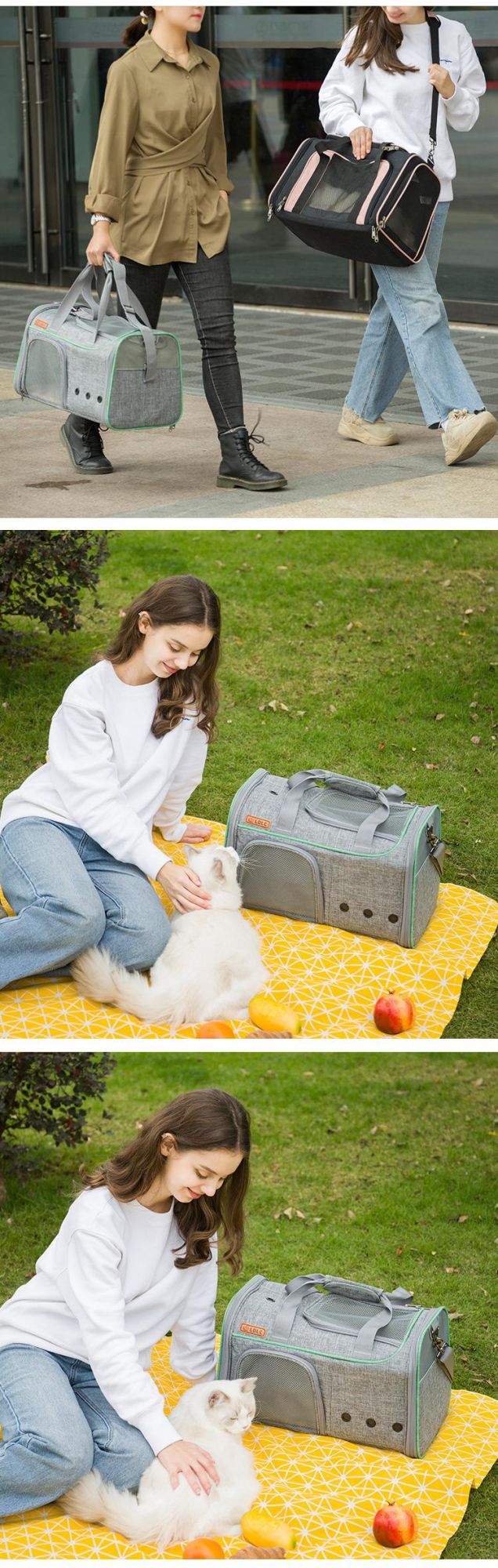 New Style Outdoor Portable Cationic Oxford Cloth Pet Handbag, Dog Supplies Pet Bag