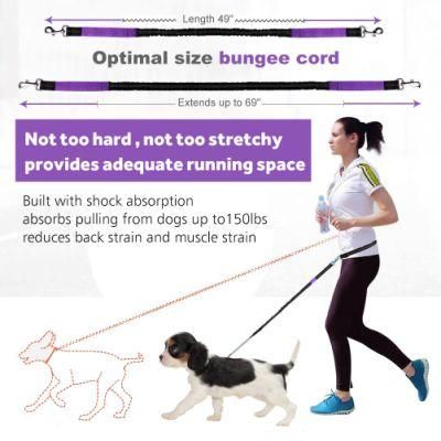 Shock Absorbing Hands-Free Dog Leash for Running Walking