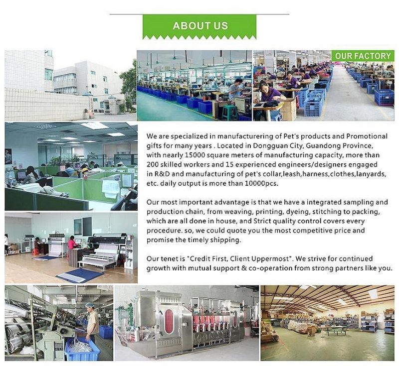 Most Popular Sublimation Printing Custom Design Wholesale Pet