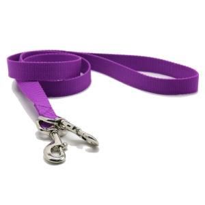 Nylon Collar and Leash with Two Snap Hook Coupler