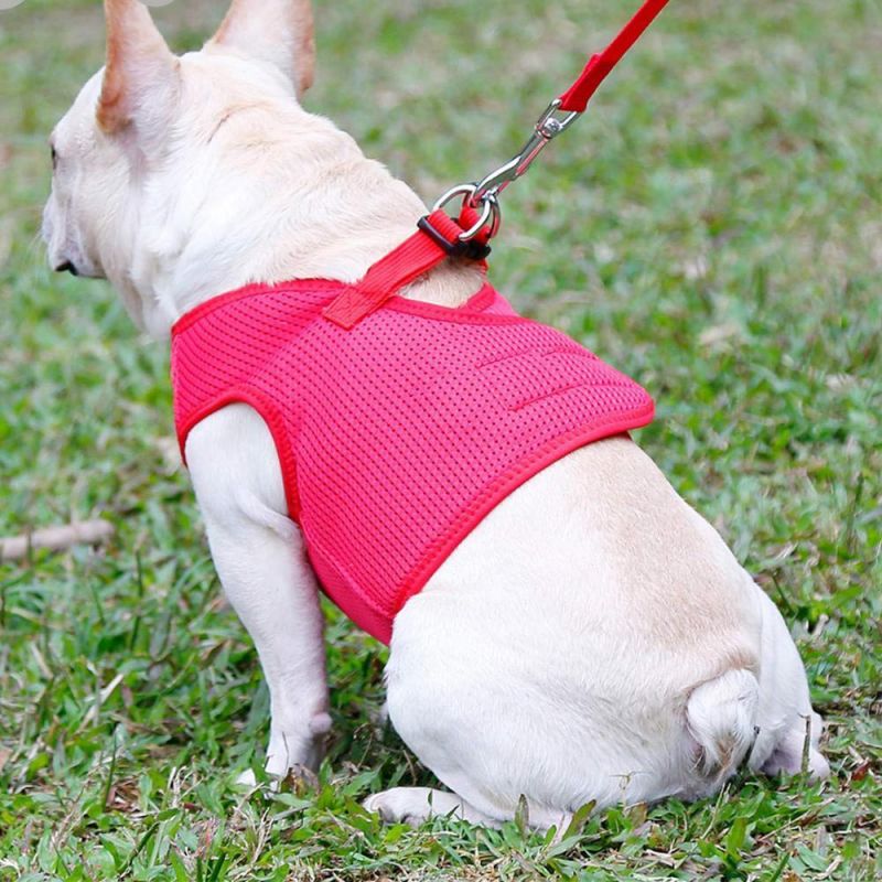 Step-in Air Mesh Breathable Adjustable Dog Harness for Puppies