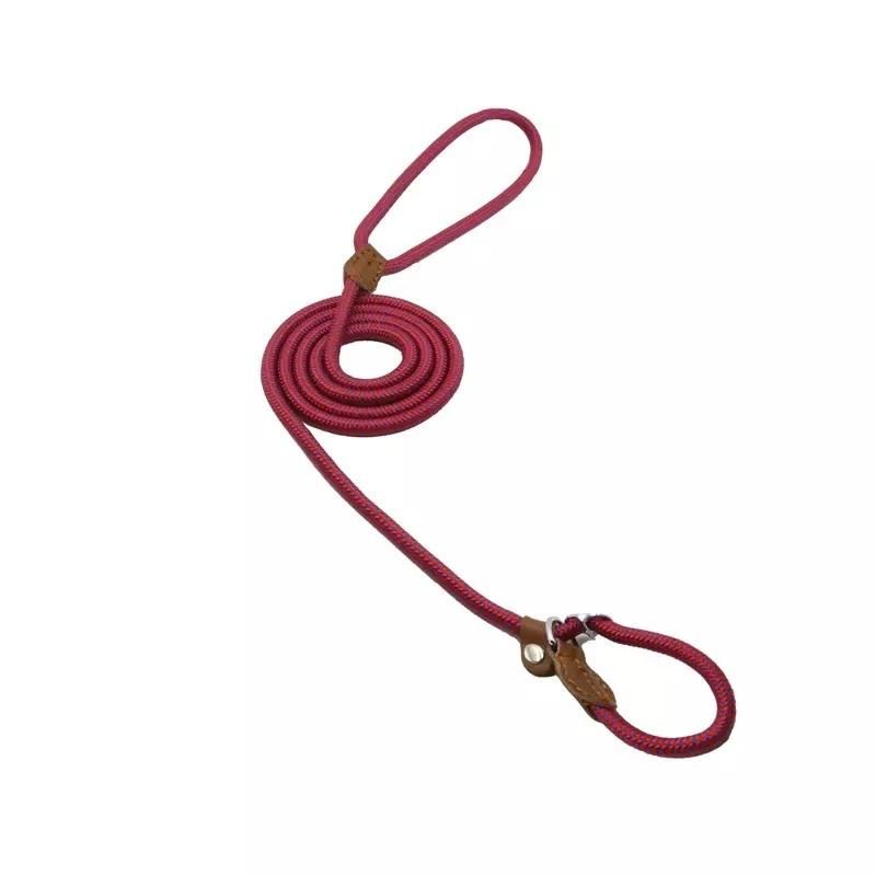 Wholesale Pet Accessories All-in-One Dog Lead