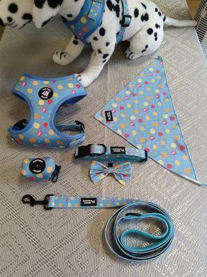 Customized Design&Logo Whole Sets Dog Harnesses