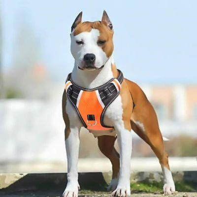 Wholesale Pet Supply Sturdy Handy Handle Reflective Dog Harness