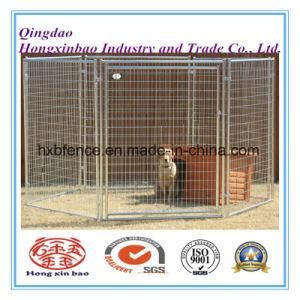 Dog Cage/Dog Kennels Outdoor Galvanized Cage
