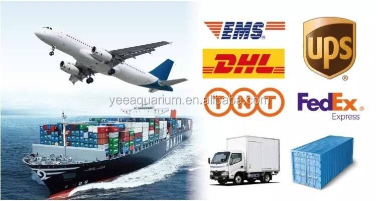 Yee Pellets Optimum Fish Food Commercial Feed Truck Hotdog Fish