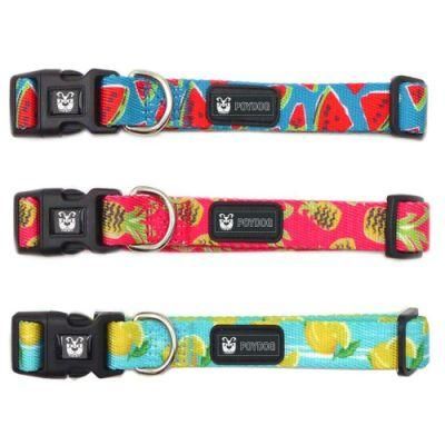 Manufacturer Cheap Polyester Webbing Padded Custom Pattern Dog Collar