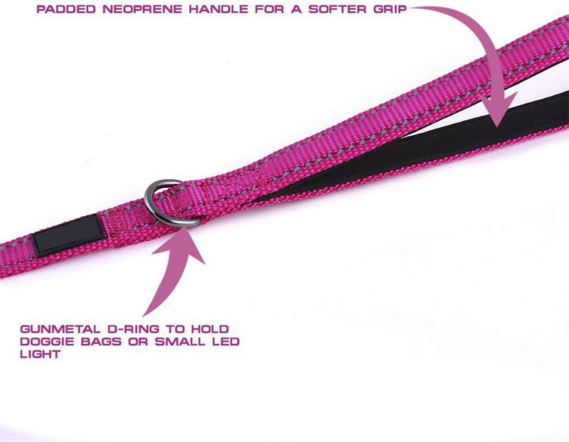 Wide Nylon Reflective Durable Pet Leash Padded Dog Lead