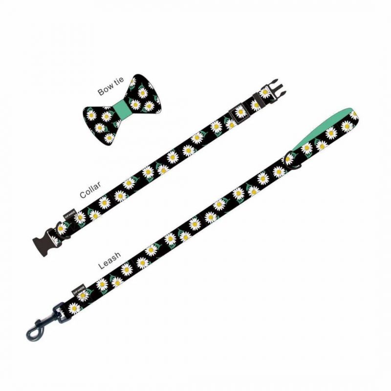 Factory Wholesale Cat Harnesses with Leashes for Your Noble Pets