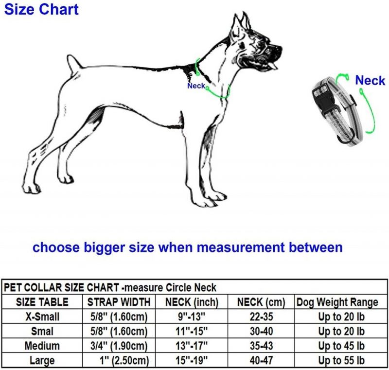 Night Reflective Double Bands Nylon Dog Collar Bark Collar