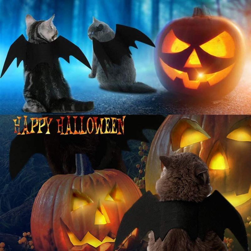 Halloween Pet Costumes Bat Wings Decorate Cute Dress up Costume
