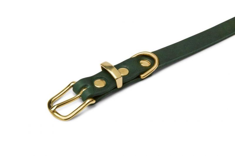 Custom Outdoor Pet Cat Collar and Leash Set Luxury Vegan PU Leather Dog Collar with Brass Buckle