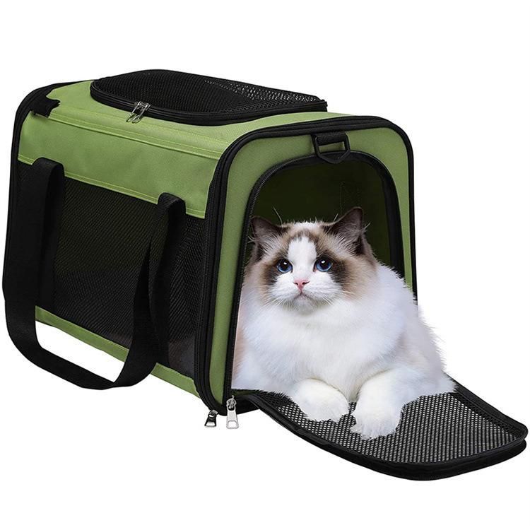 Customize OEM ODM Fashion Collapsible Carrier Travel Bag for Heavy Pets