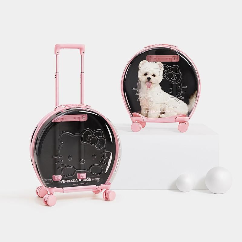 Transport Cat Dog Cage Maintenance Pet Carriers