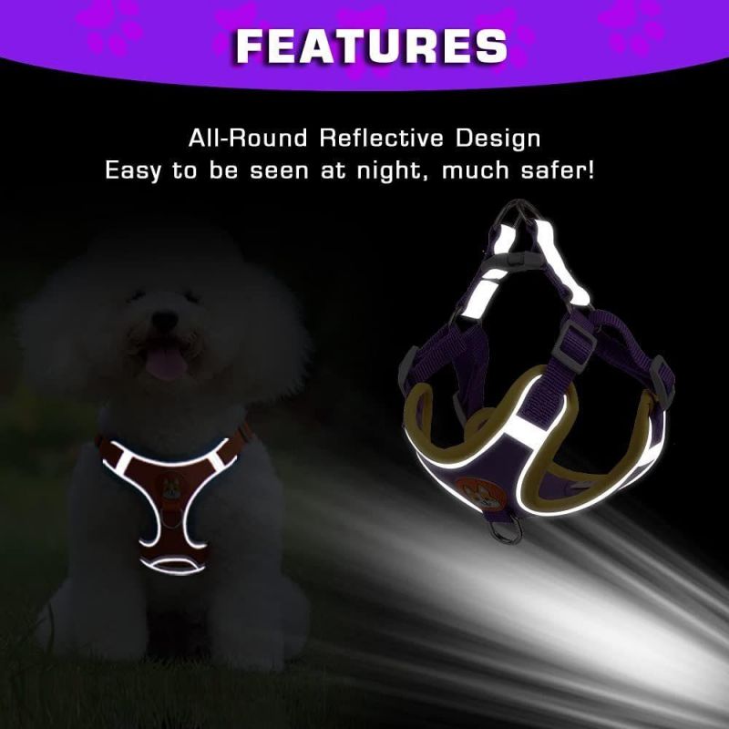 Fashion Hightlight Color Pet Harness Vest Reflective Dog Harness Set