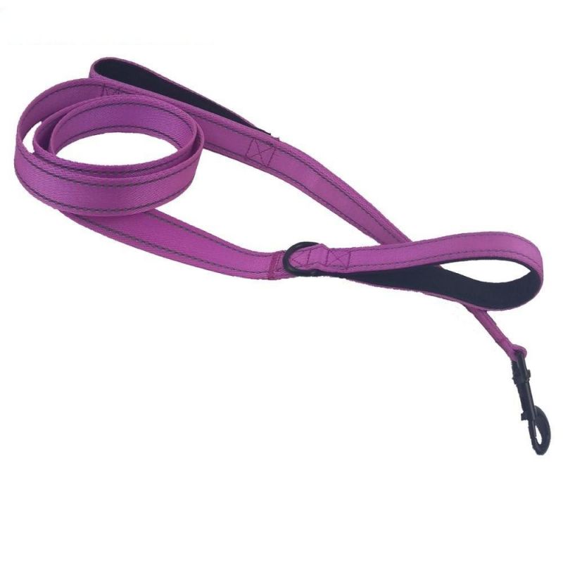 Nylon Reflective Thread Dog Leash with 2 Padded Handles with Multiple Color Option