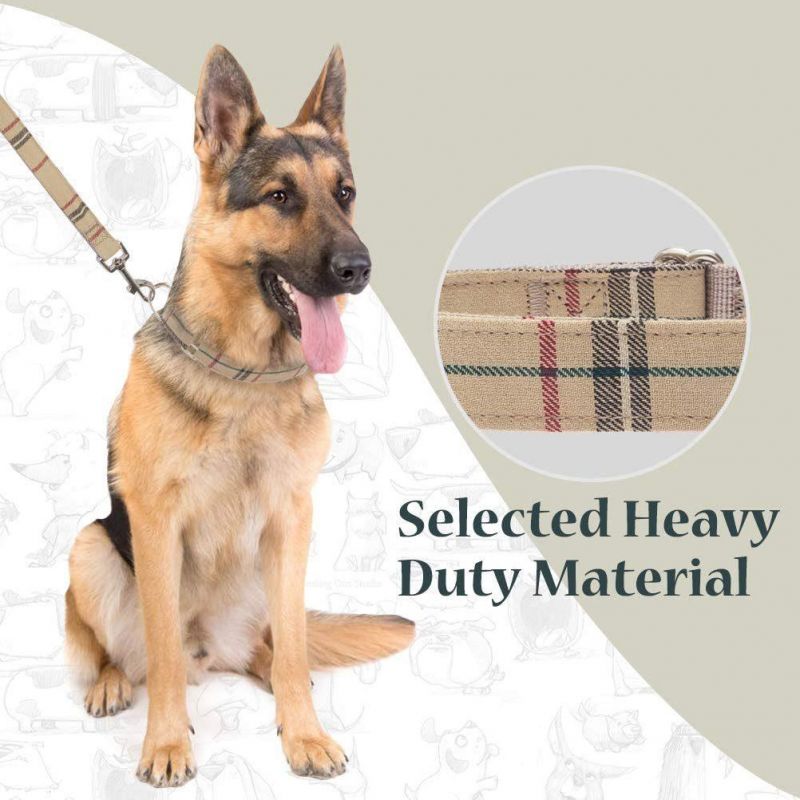 Heavy Duty Adjustable Training Nylon Collar Leash Set