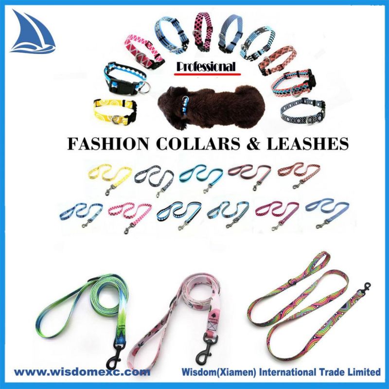 Leash Dog Cant Chew Pet Collar Dog Harness